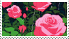 roses stamp